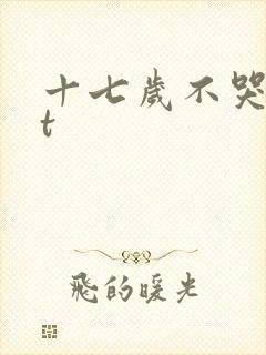 十七岁不哭txt