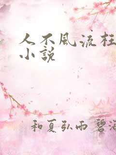人不风流枉少年小说
