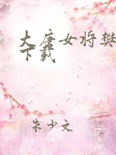 大唐女将樊梨花下载