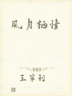 风月栖情