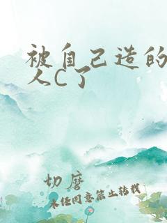 被自己造的机器人C了