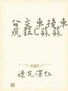 公交车后车座的疯狂C苏苏