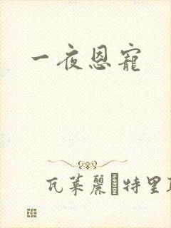 一夜恩宠
