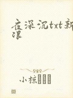 夜深沉txt新浪