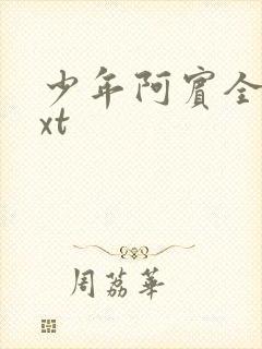 少年阿宾全集txt