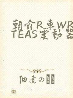 朝俞R车WRITEAS震动器