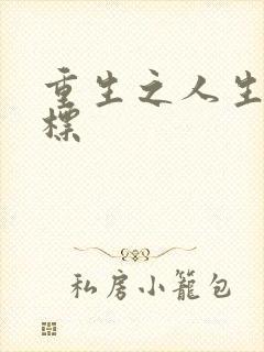 重生之人生新目标