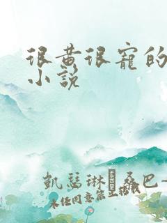 很黄很宠的总裁小说