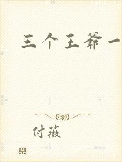 三个王爷一个妃