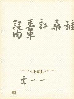 段嘉许桑稚浴室肉车