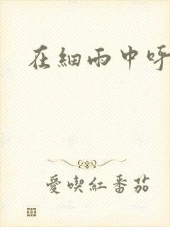 在细雨中呼喊