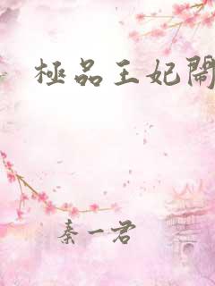极品王妃闹王府