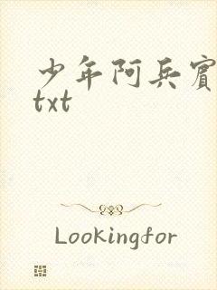 少年阿兵宾小说txt