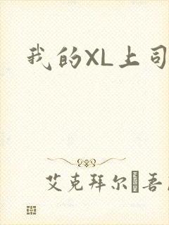 我的XL上司