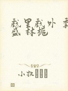 戏里戏外 季淮盛 林栀