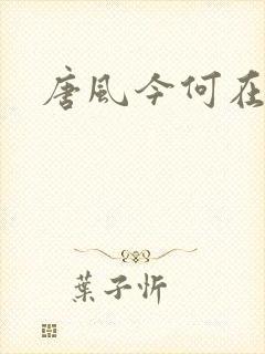 唐风今何在