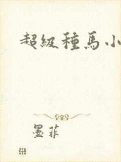 超级种马小说