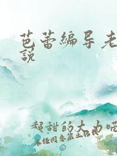 芭蕾编导老师小说