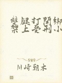 双腿打开绑在刑架上受刑小说