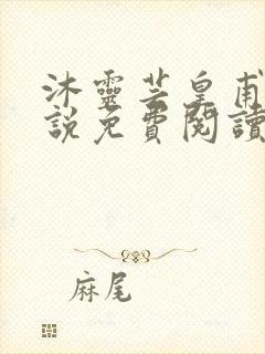 沐灵芸皇甫霆小说免费阅读