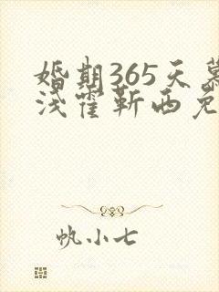 婚期365天慕浅霍靳西免费阅读