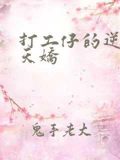 打工仔的逆袭楚天娇