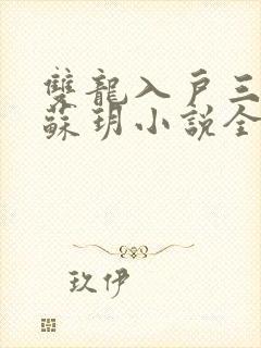 双龙入户三人行苏玥小说全文阅读