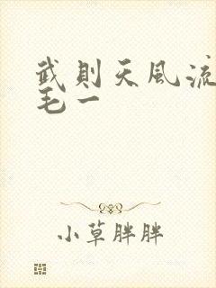 武则天风流艳情毛一