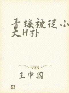 青梅被从小摸到大H补