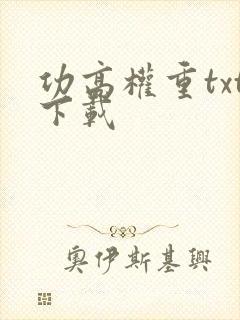 功高权重txt下载