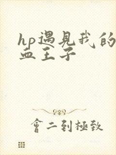 hp遇见我的混血王子