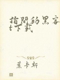 指间的黑客txt下载