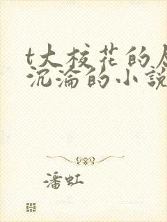 t大校花的屈辱沉沦的小说