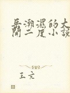 岳潮湿的大肥梅开二度小说