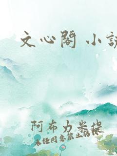 文心阁 小说