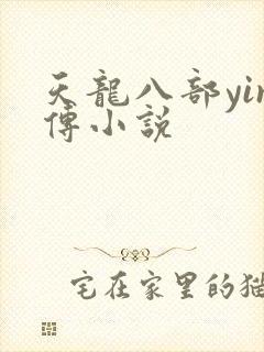 天龙八部yin传小说