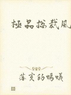 极品总裁风流录