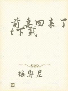 前妻回来了txt下载