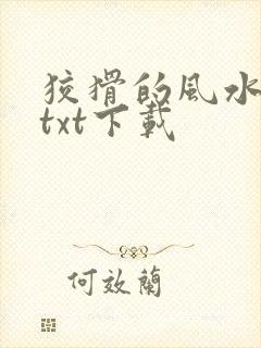 狡猾的风水相师txt下载