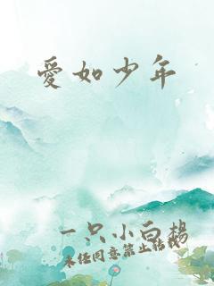 爱如少年