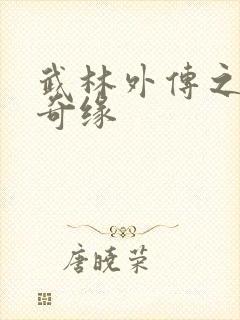 武林外传之同福奇缘