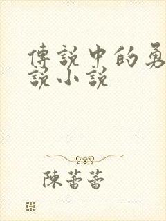 传说中的勇者传说小说