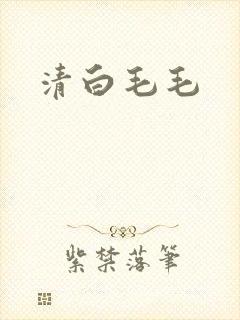 清白毛毛