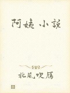 阿姨 小说
