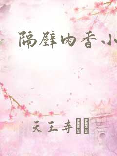 隔壁肉香小说