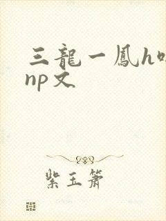 三龙一凤h啪肉np文