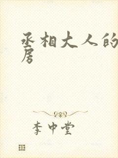 丞相大人的小通房