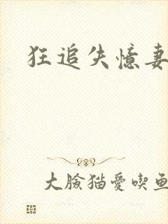 狂追失忆妻