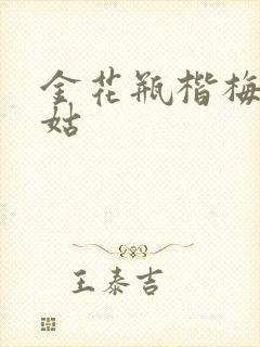 金花瓶楷梅花尼姑