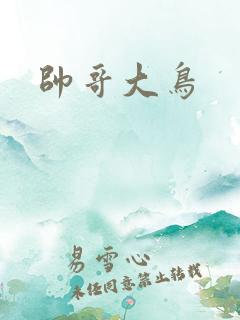 帅哥大鸟